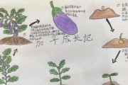 五彩青蛙该怎么养？日常护理要注意什么？