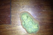 泰迪犬拉稀的原因及治疗方法（探索泰迪犬拉稀的常见原因和有效的治疗方法）