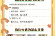 幼犬的成长之路——走路的时机（幼犬学习走路的时间和重要性）