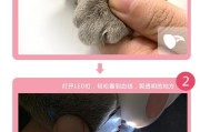 猫咪的指甲换新时机（了解猫咪指甲生长周期，为它提供最佳指甲护理）