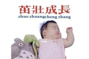 如何抱起龙猫宝宝毛茸茸（五步教你轻松抱起龙猫宝宝，享受温馨时刻）