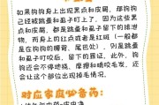 狗狗真菌皮肤病的综合治疗攻略（全面了解狗狗真菌皮肤病的症状、诊断与预防）