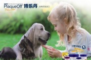 狗狗牙被撞掉后的急救方法及药物治疗（保护宠物牙齿健康的重要性）