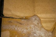 呕吐白色粘液的原因及治疗方法（白色粘液引起呕吐的常见原因与应对措施）