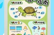 以草龟喂食吃多久？（草龟的饮食需求及食量）