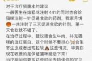 猫咪腹水（解读猫咪腹水的原因及应对食物选择的建议）