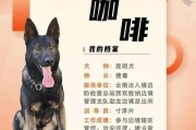 警犬的职责与特点（了解警犬的培训与应用领域）