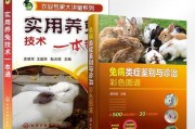 兔子传染病大揭秘（了解兔子传染病，让你的宠物更健康）