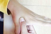 以德牧脚爪疼原因及解决方法（揭秘以德牧脚爪疼痛的来源和预防措施）
