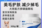 泰迪生产后如何消炎（药物选择及饮食调整促进伤口愈合）