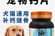 如何给吉娃娃洗澡？（选择合适的洗浴用品和方法，让吉娃娃在洗澡时感到舒适）