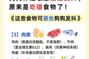 狗狗手术后的饮食需求（狗狗刚手术完需要特别关注的饮食及其注意事项）