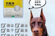 狗狗饮食要注意！如何避免狗狗吃得太胖？（控制饮食量和选择健康食物是关键）