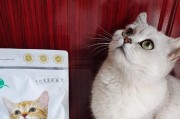 猫咪的细菌问题（探索猫咪身上的细菌种类及防护措施）
