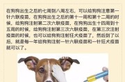 狗狗疫苗接种（了解狗狗疫苗接种的必要性和选择的差异）