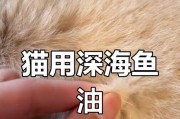 猫掉毛的原因和补救措施