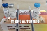 狗狗打完第三针疫苗后的出行时间（保护狗狗健康的最佳时机）