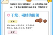 小猫咪的排便频率（探究小猫咪拉粑粑的时间间隔及注意事项）