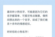 选择小狗的完美名字（如何为你的小狗选择一个独特又适合的名字）