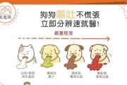 狗狗拉肚子呕吐的原因——营养均衡是关键（狗狗消化问题的常见原因和解决方法）