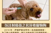 养狗必须注射的疫苗及其重要性（了解狗疫苗的种类和作用，为宠物健康护航）