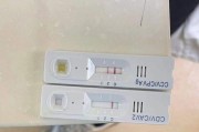 小狗细小症状详解（了解小狗的细微健康问题是保护它们的关键）