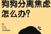 研究狗烦躁不安的原因（探索狗烦躁不安的诱因及解决方法）